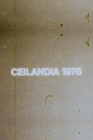 Ceilândia 1976 poster