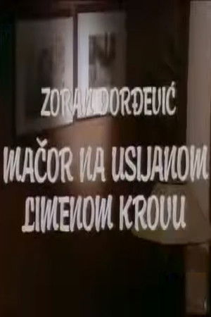 Tomcat on a Hot Tin Roof