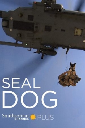 SEAL Dog SEAL Dog