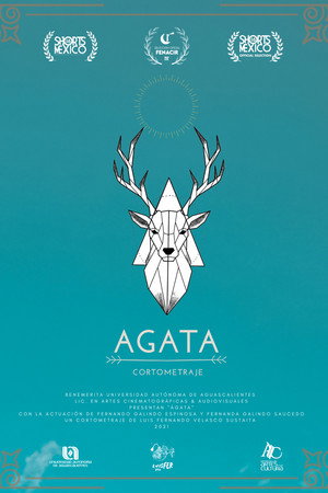 Ágata poster