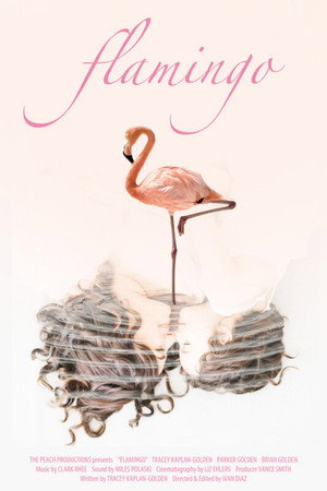 Flamingo poster
