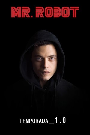 Baixar Mr. Robot 1ª Temporada Dublado via Torrent