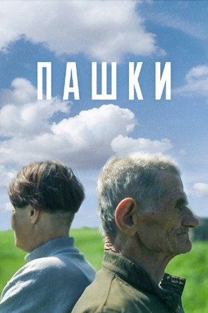 Pashki poster