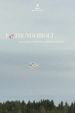 P47 Thunderbolt poster