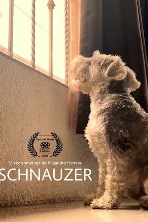 Schnauzer
