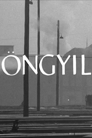Öngyilkosság Öngyilkosság