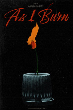 As I Burn