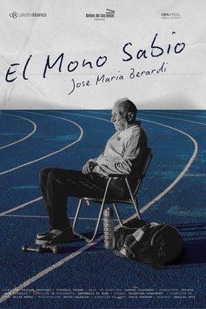 El Mono Sabio poster