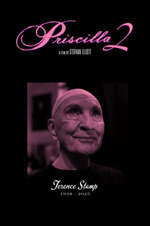 Priscilla Queen of the Desert 2