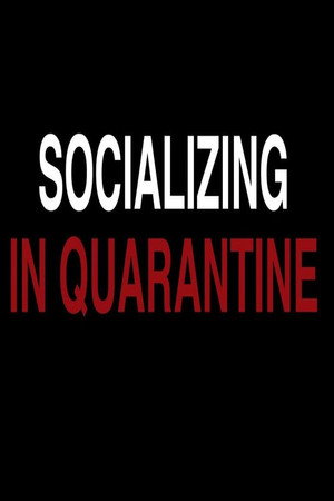 Socializing in Quarantine poster