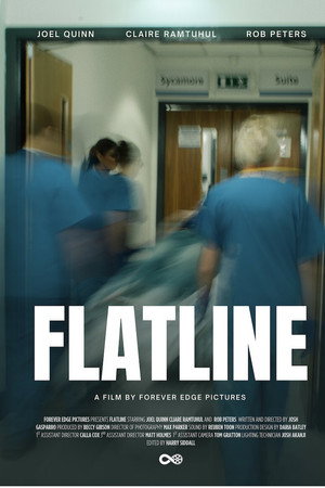 Flat Line poster