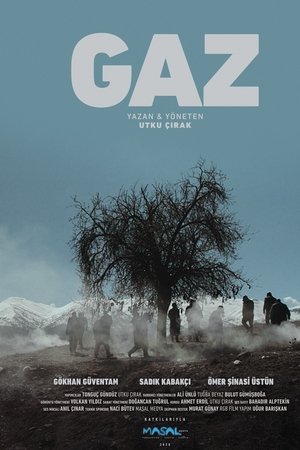 The Gas