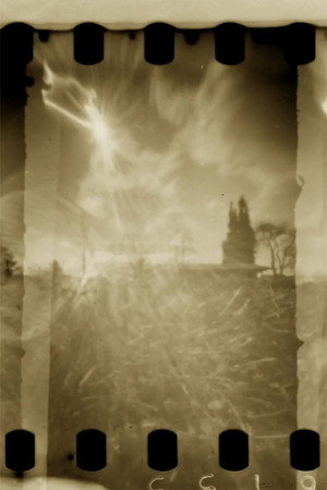 Pinhole Park poster