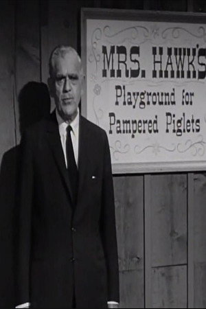 The Remarkable Mrs. Hawk
