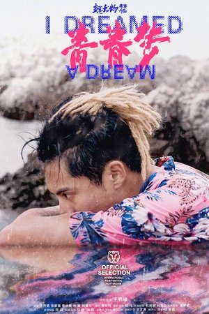 青春梦