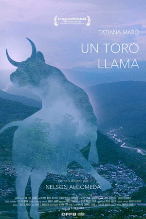 A Bull Calls poster