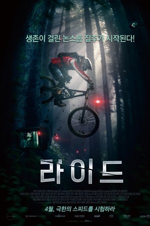 라이드