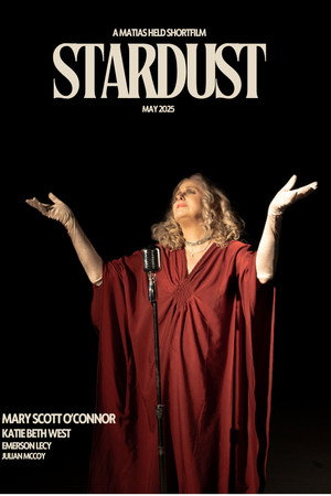 STARDUST poster