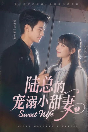 陆总的宠溺小甜妻