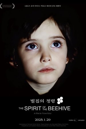 벌집의 정령