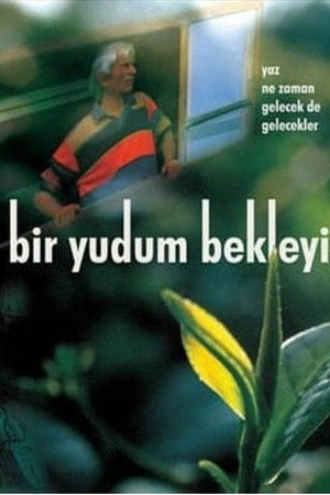 Bir Yudum Bekleyiş poster