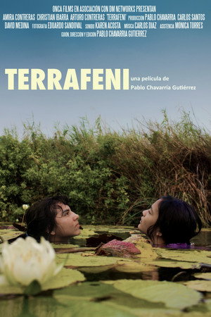 Terrafeni poster