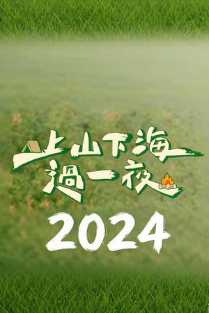 上山下海过一夜（2024）