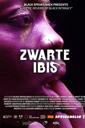 Black Ibis poster