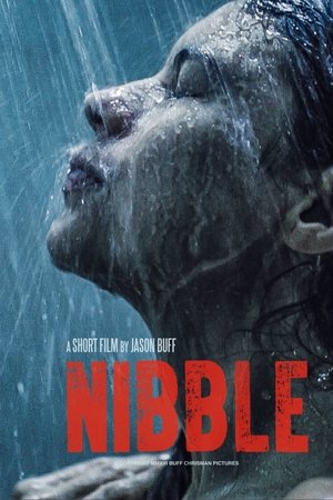 Poster of Nibble
