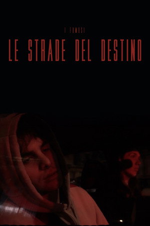 Le Strade del Destino poster