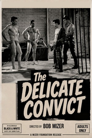 Delicate Convict Delicate Convict