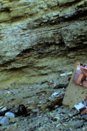 Those Inescapable Slivers of Celluloid poster