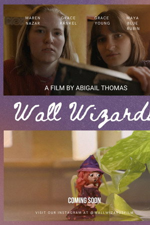 Wall Wizards
