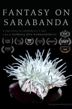 Fantasy on Sarabanda poster