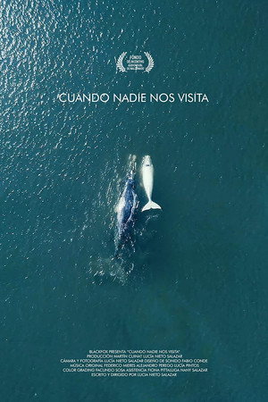 Cuando nadie nos visita poster
