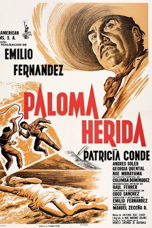 Paloma herida Paloma herida