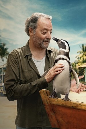 Mi amigo el pingüino