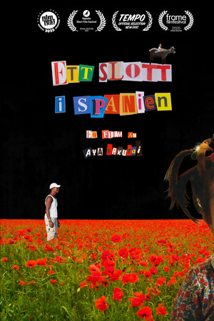 A Castle in Spain poster