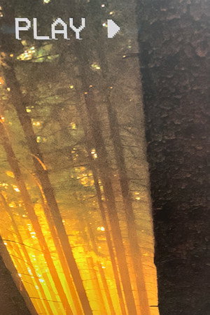 In The Forest