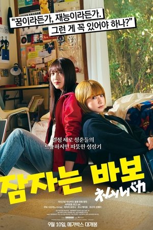 잠자는 바보