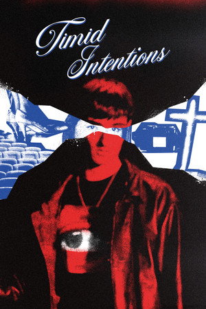 Timid Intentions poster
