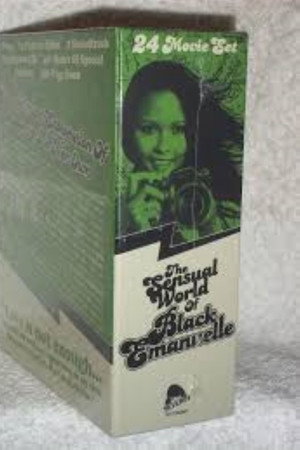 Ajita Wilson: An Elusive Icon poster
