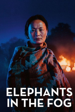 Elephants in the Fog poster