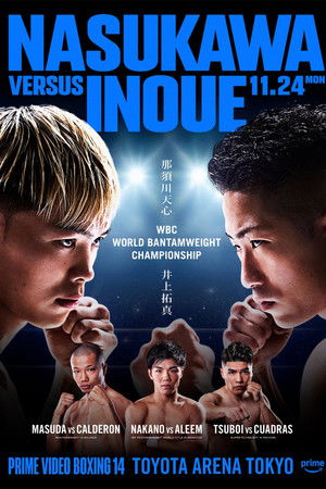 PRIME VIDEO BOXING 14