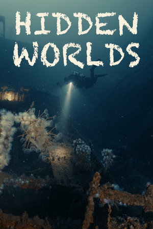 Hidden Worlds