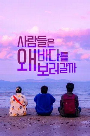 Why Would People Go to See the Sea poster