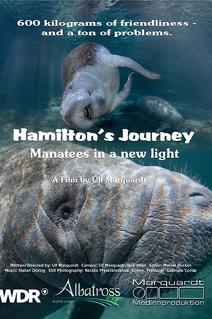 Hamilton's Journey - Manatees in a New Light Hamilton's Journey - Manatees in a New Light