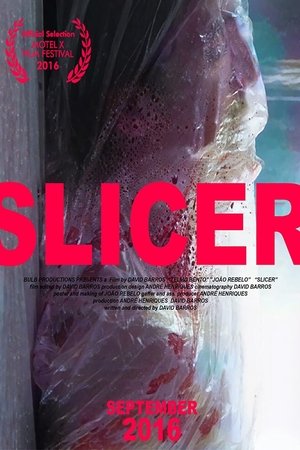 Poster of Slicer