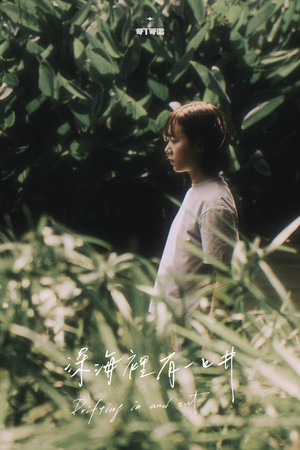 Drifting in And out poster