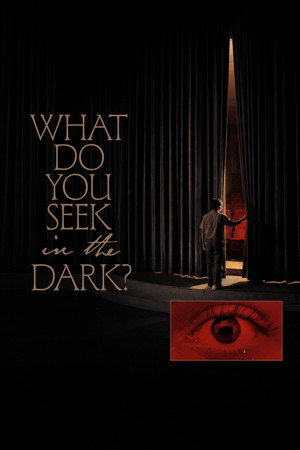 What Do You Seek in the Dark? poster